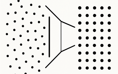 entropy comes to insist on organization